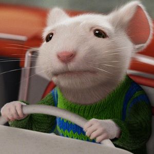 Meet your Posher, Jon